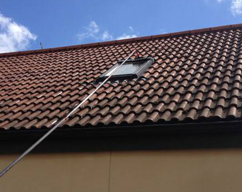 Fascia and Gutter Cleaning